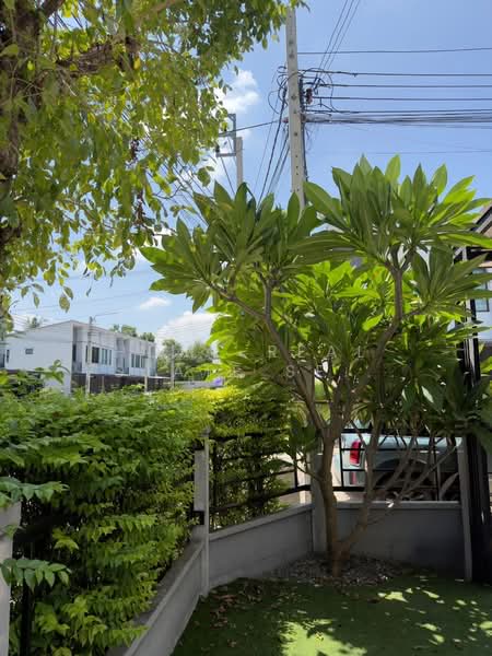 Pleno Ratchaphruek-Rattanathibet, Nonthaburi