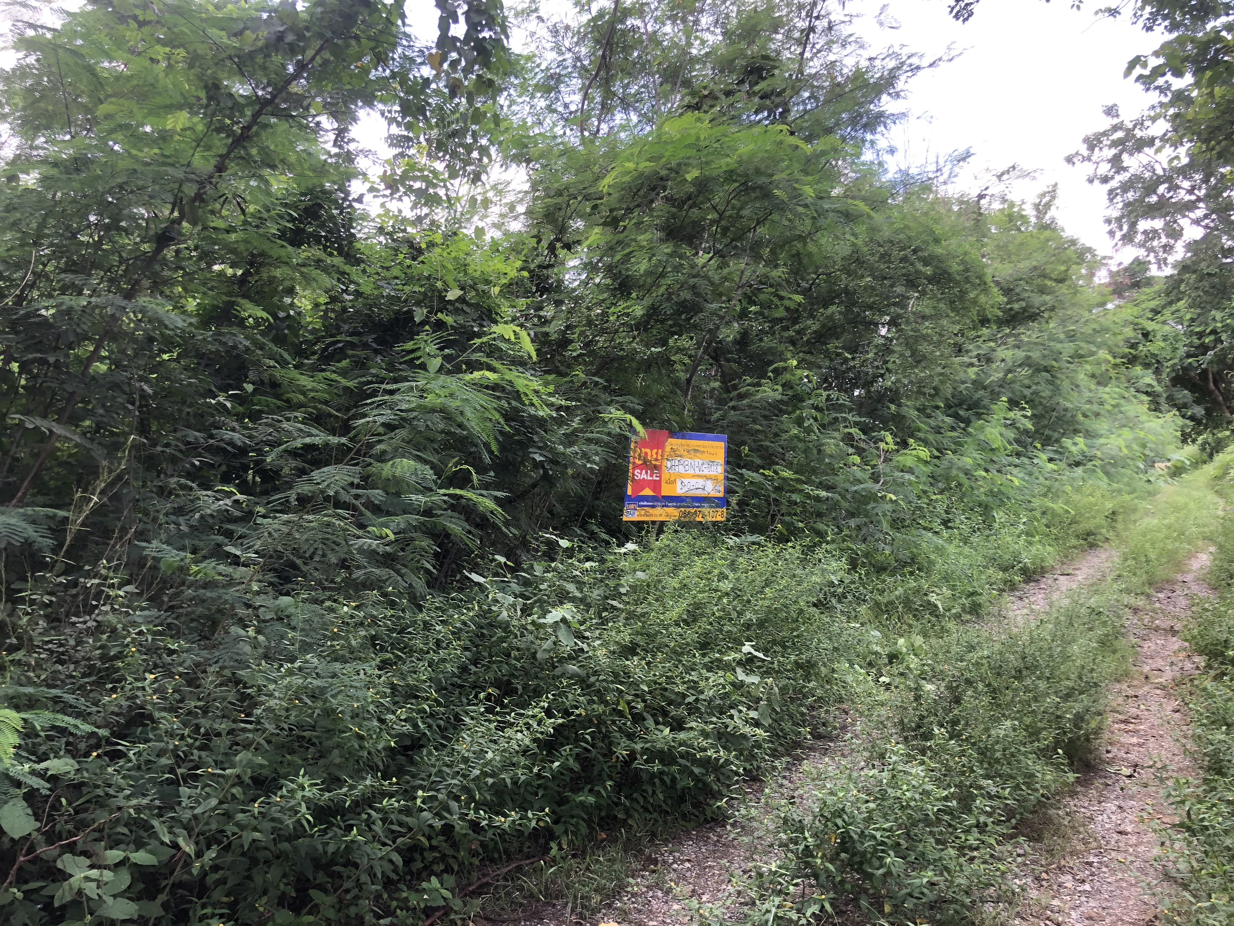 Empty land, Mandalay Garden Land project, Lopburi