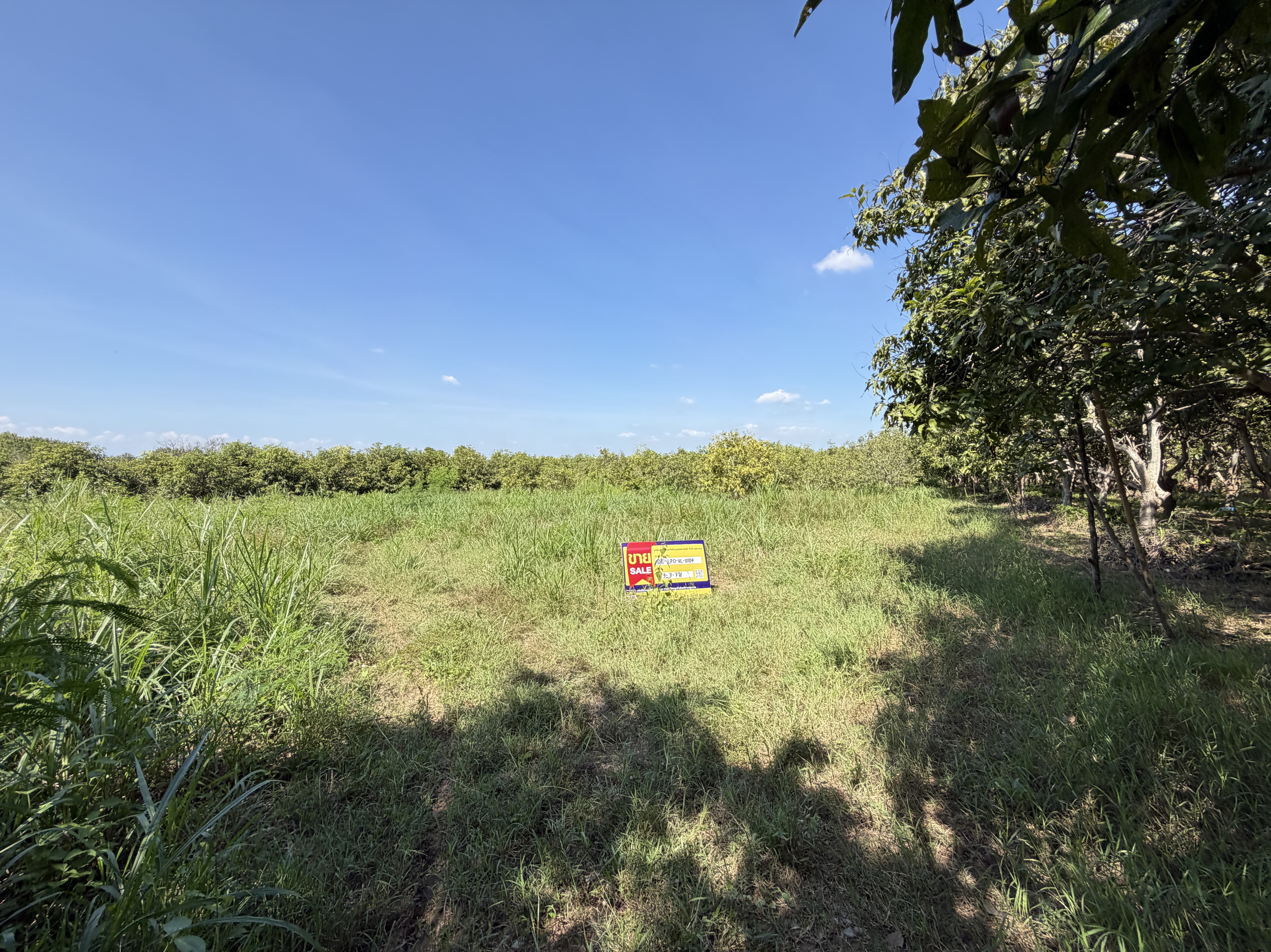Vacant land, 2-3 houses, Lamphun