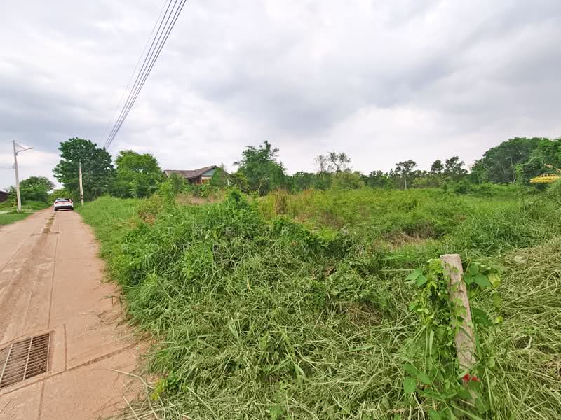 ที่ดินบางน้ำเปรี้ยว ฉะเชิงเทรา, Chachoengsao