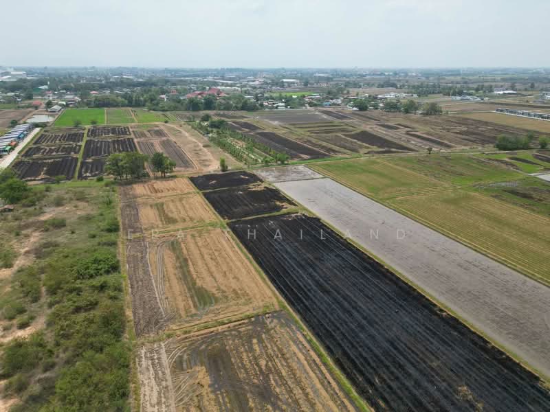 ที่ดินเปล่า 5 ไร่ ใกล้ถนนใหญ่ เมืองพิษณุโลก, Phitsanulok
