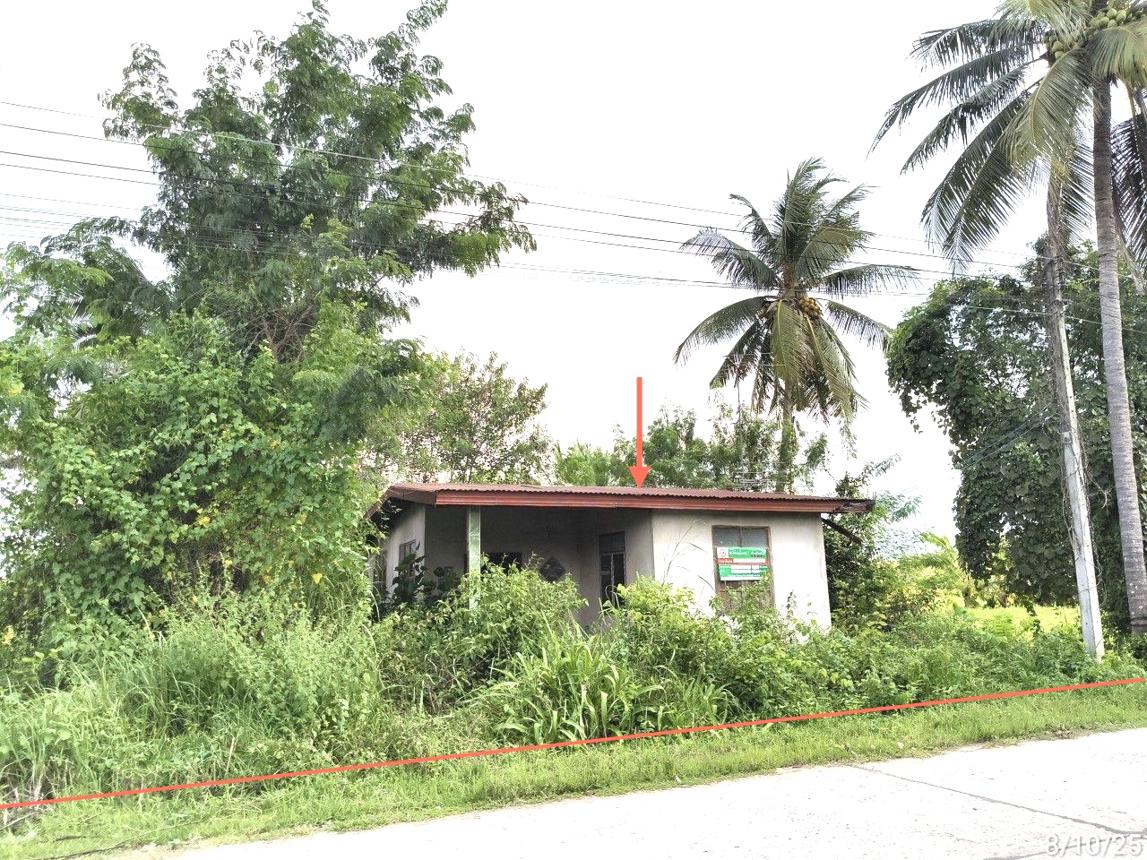 Single House, Buachet, Surin Province