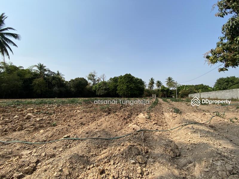ต.บ้านป่า อ.เมือง จ.พิษณุโลก, Phitsanulok