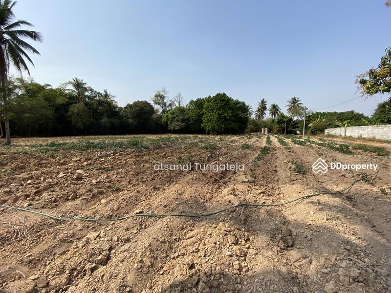 ต.บ้านป่า อ.เมือง จ.พิษณุโลก, Phitsanulok