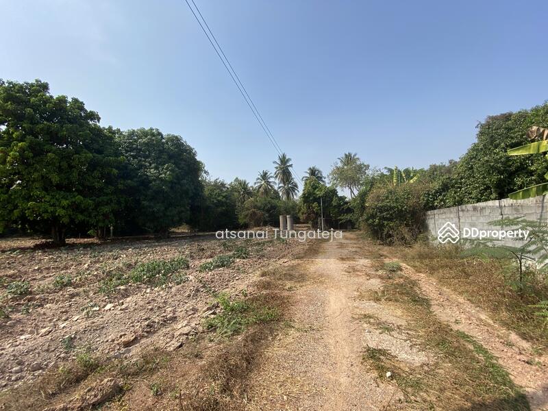 ต.บ้านป่า อ.เมือง จ.พิษณุโลก, Phitsanulok