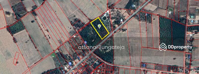 ต.บ้านป่า อ.เมือง จ.พิษณุโลก, Phitsanulok