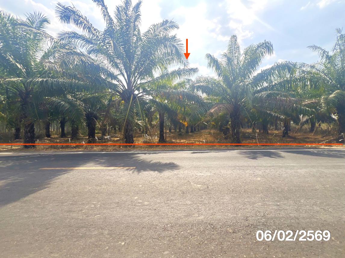 Vacant land, standing water, Ubon Ratchathani Province.