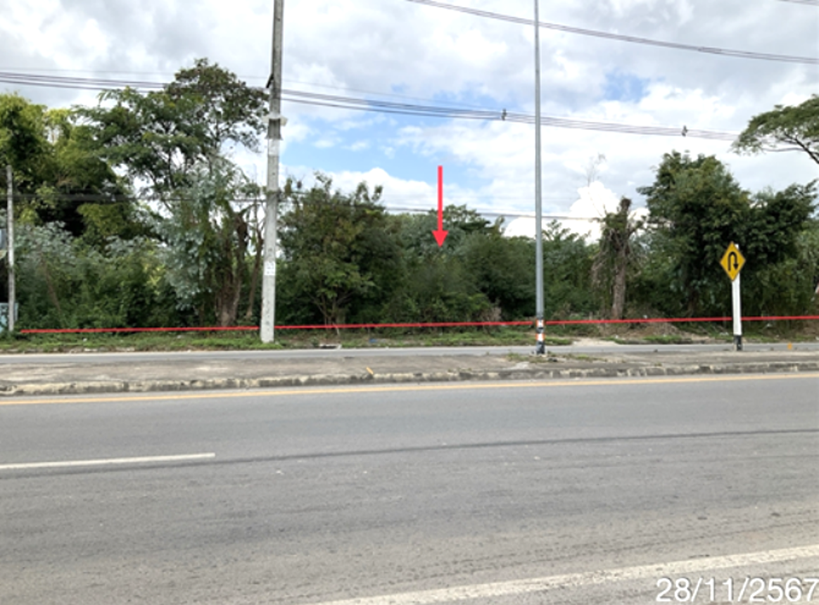 Empty Land for Sale in Chiang Rai, Chiang Rai