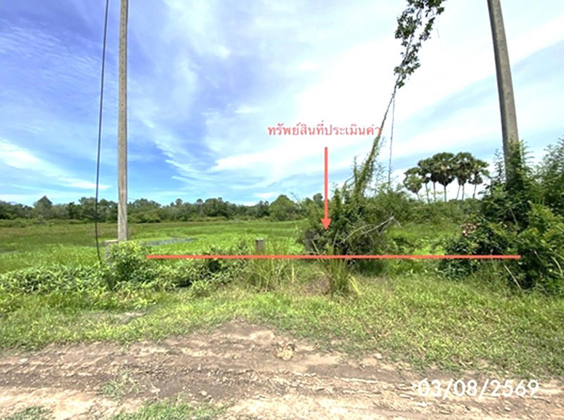 Vacant Land for Sale in Songkhla City, Songkhla Province