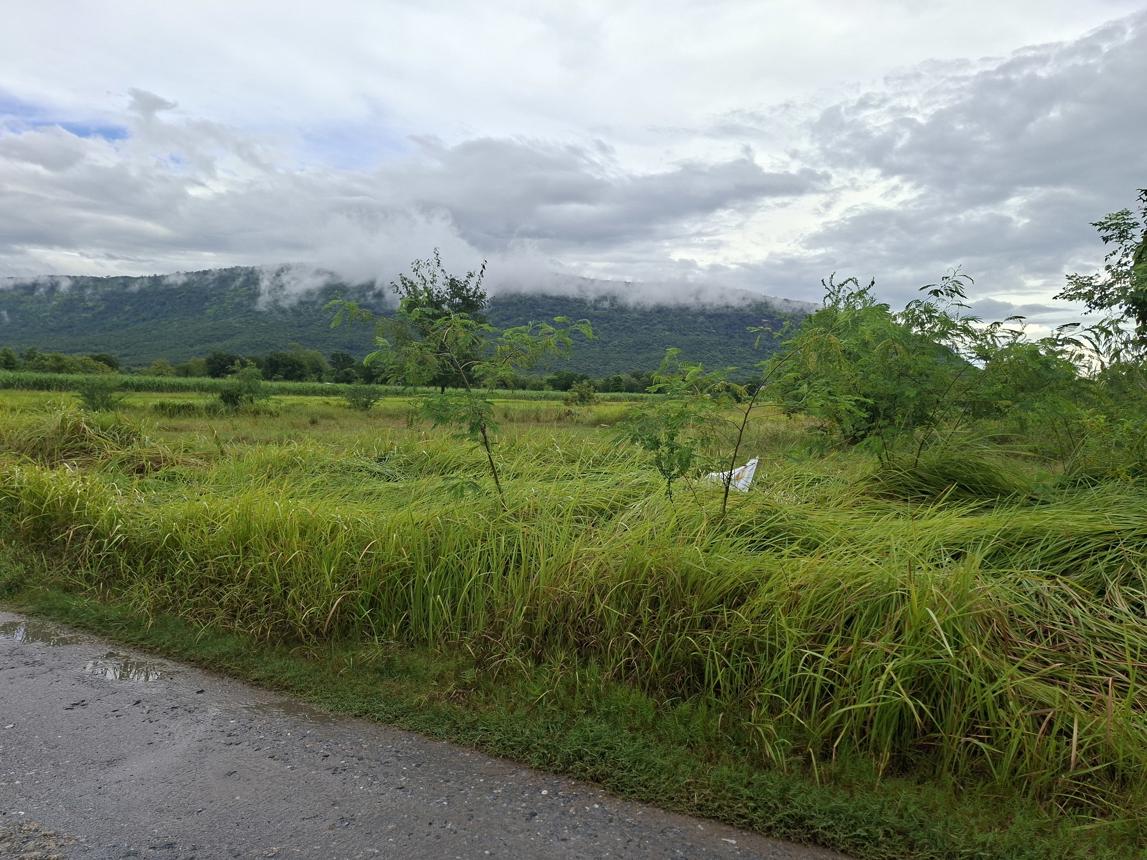 Empty Land for Sale in Chum Phae, Khon Kaen
