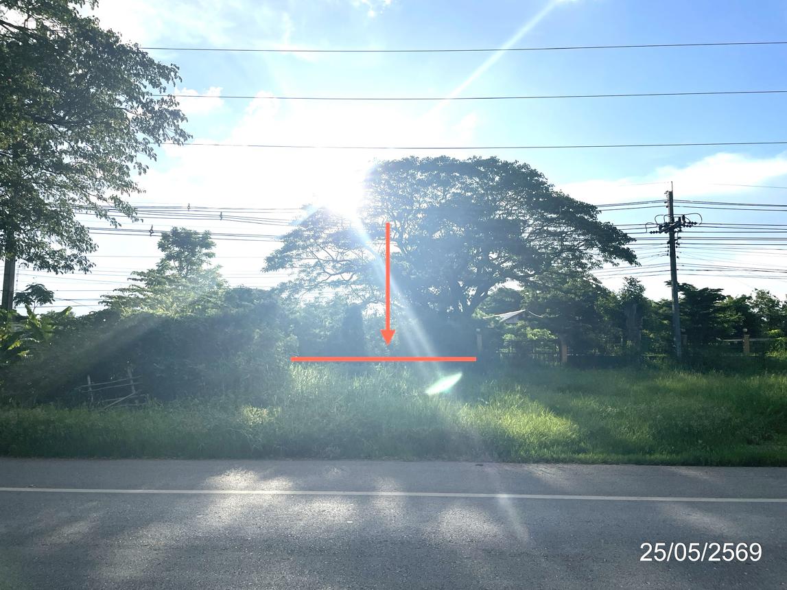 ที่ดินว่างเปล่า วิเชียรบุรี เพชรบูรณ์