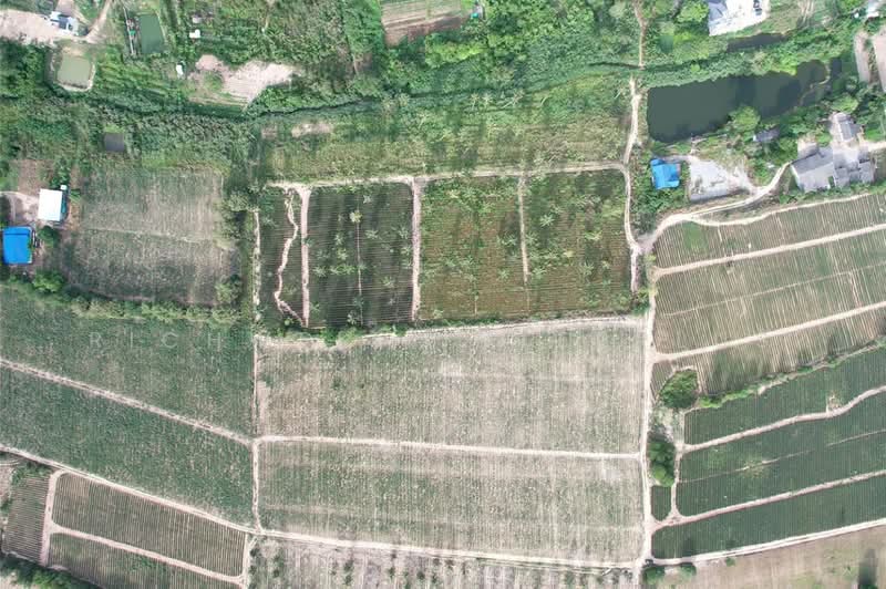 Purple land for sale, 4 rai, Huai Prab - Map Yang Phon, suitable for building a dormitory,, Rayong