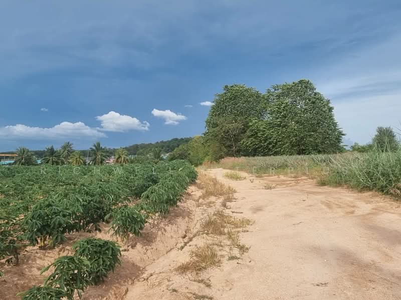 Purple land for sale, 4 rai, Huai Prab - Map Yang Phon, suitable for building a dormitory,, Rayong