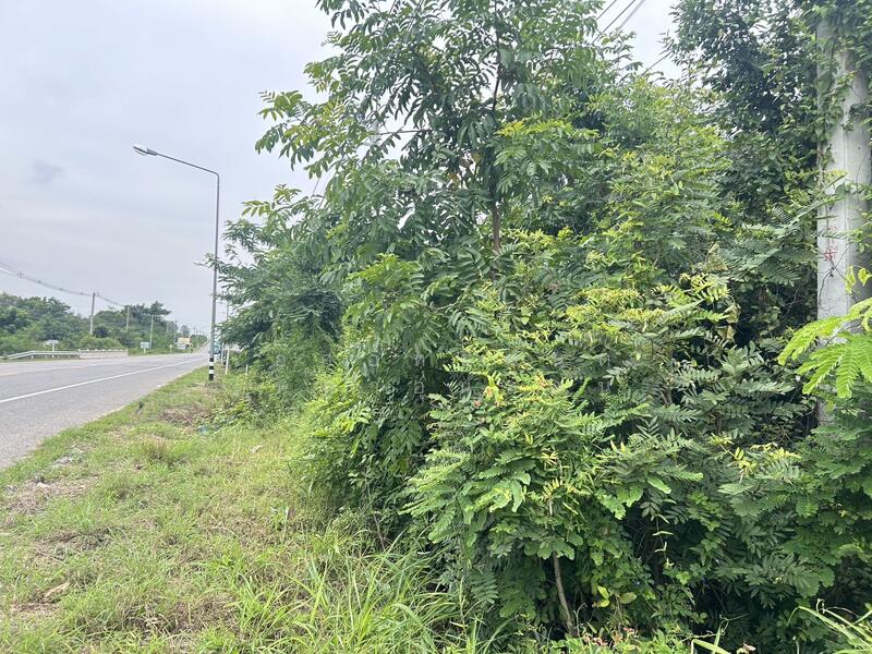 ต.หนองไผ่แบน อ.เมืองอุทัยธานี จ.อุทัยธานี 61000, Uthai Thani