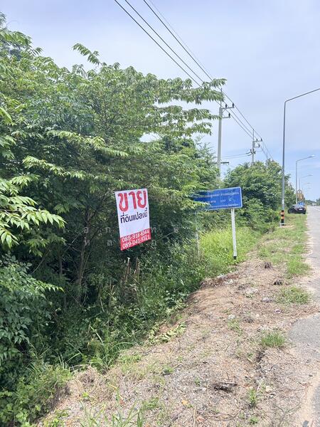 ต.หนองไผ่แบน อ.เมืองอุทัยธานี จ.อุทัยธานี 61000, Uthai Thani