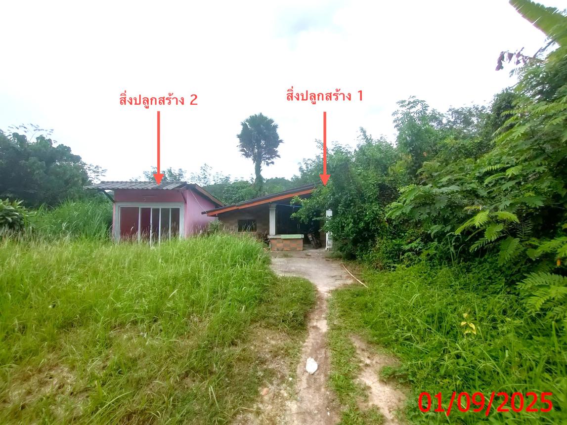 Single House in Sabayoi, Songkhla