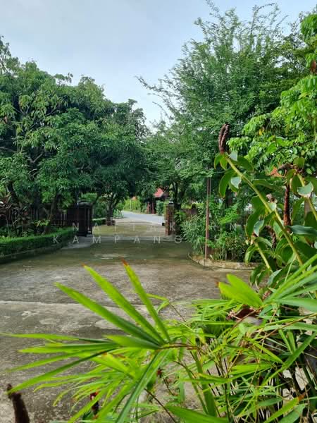 ป่าซาง, Lamphun