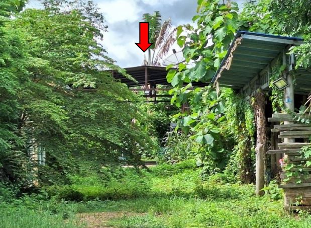 บ้านเดี่ยว แพร่