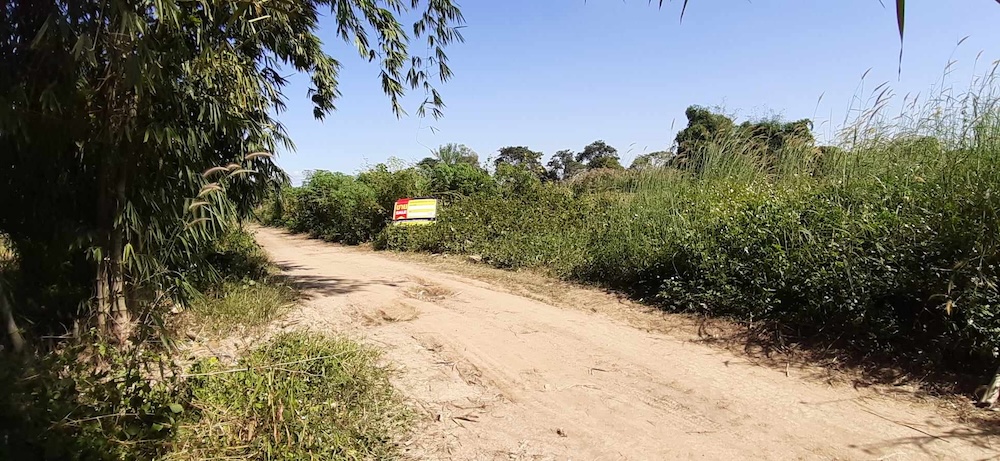 Agricultural Land in Chiang Rai Province