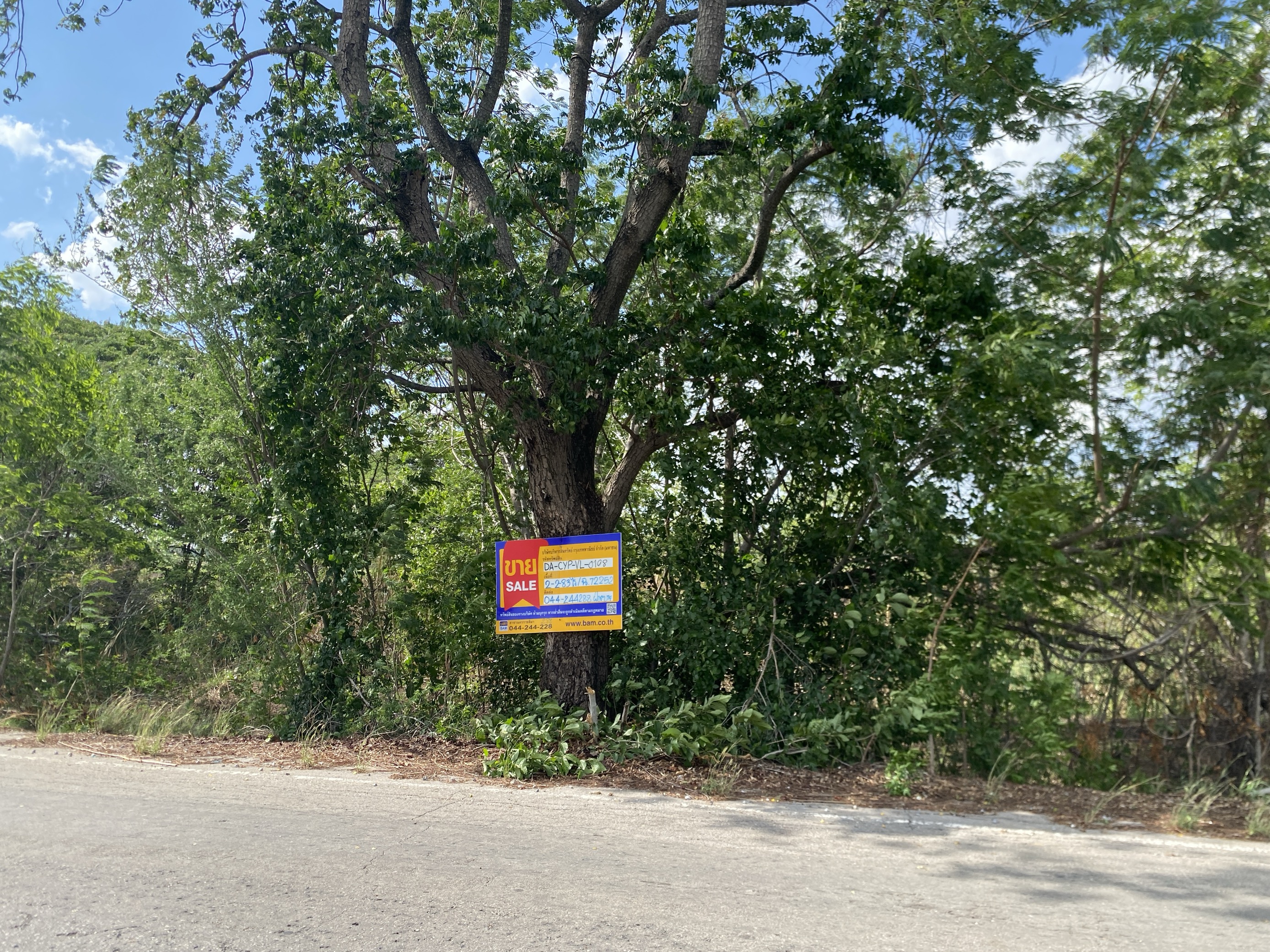 Land for Sale in Chaiyaphum