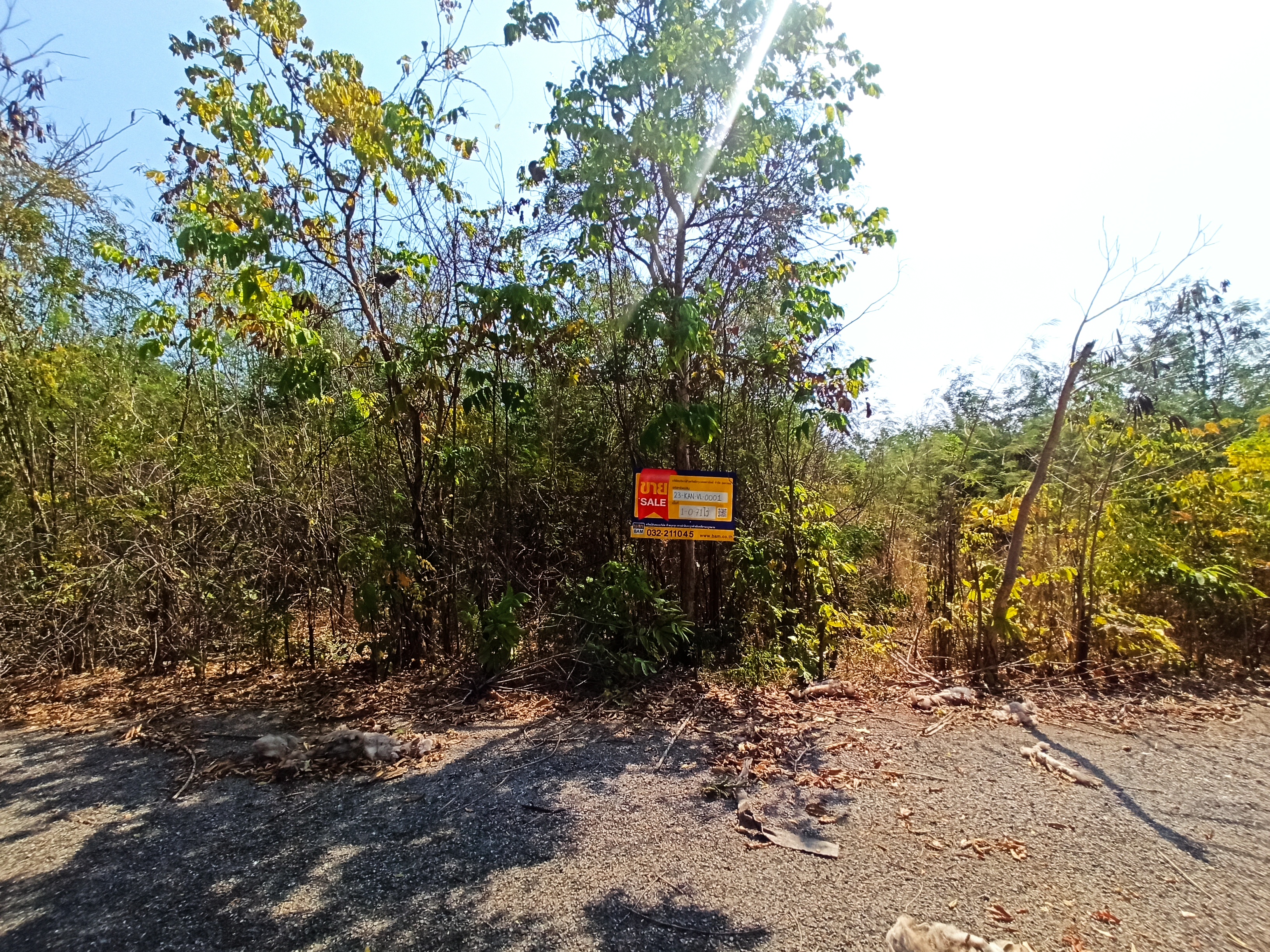 Vacant land, Ekpairin Resort, River Kwai, Kanchanaburi