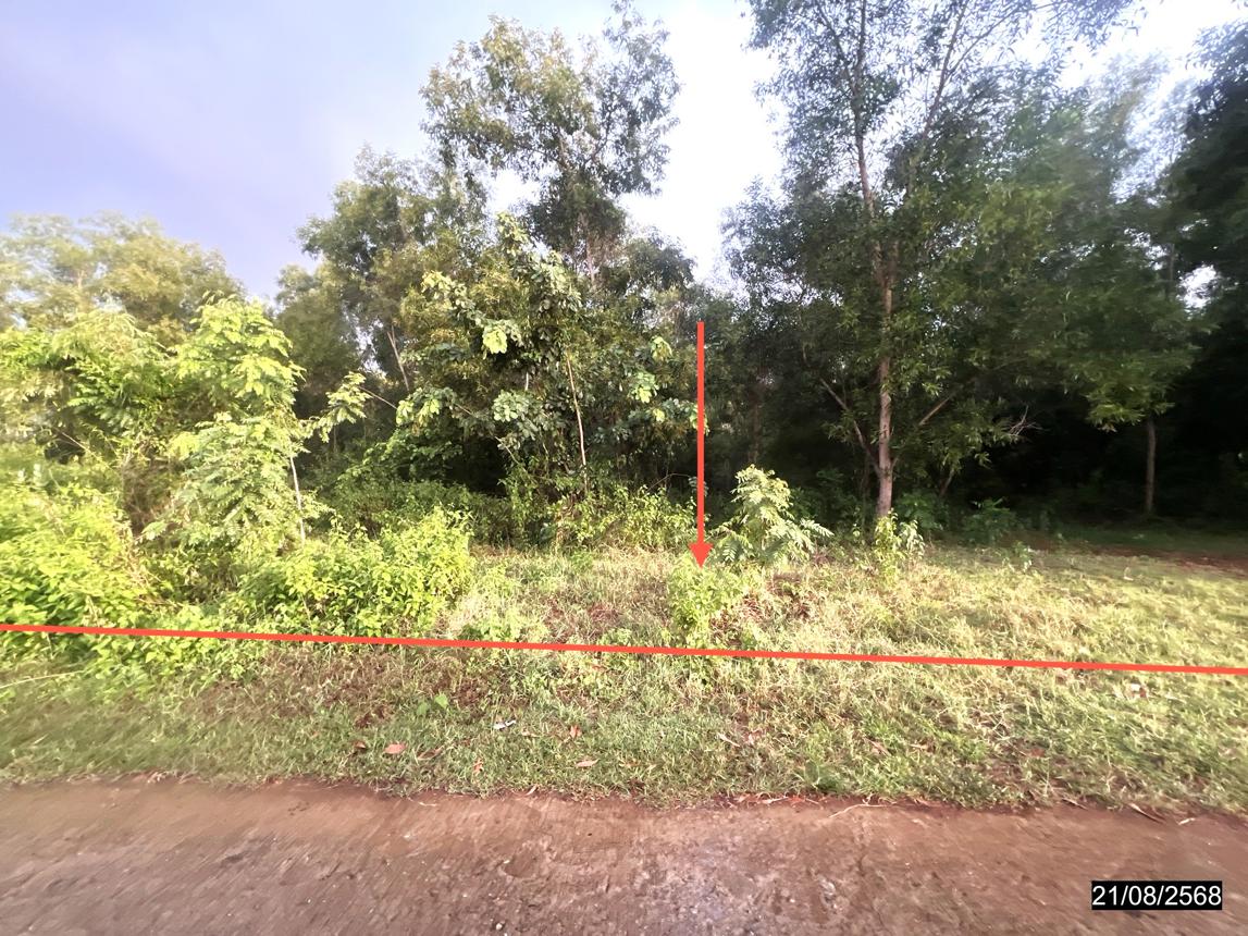 Plot of land for sale in Chaiyaphum City, Chaiyaphum Province