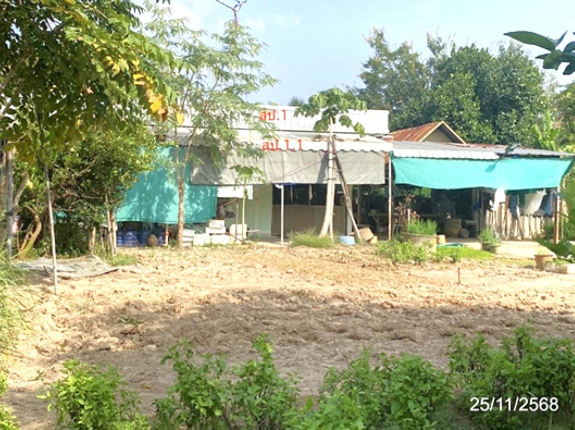 Single House in Thawatchaburi, Roi Et