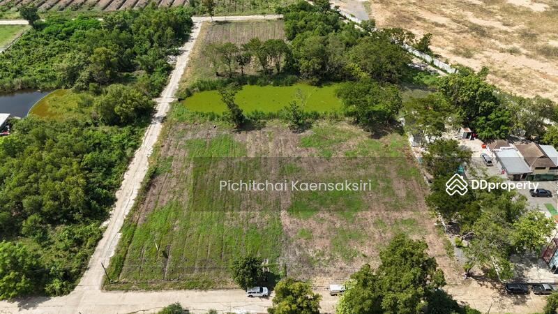 Land in Pathum Thani, Khlong Song, Khlong Luang, Pathum Thani 12120, Pathum Thani