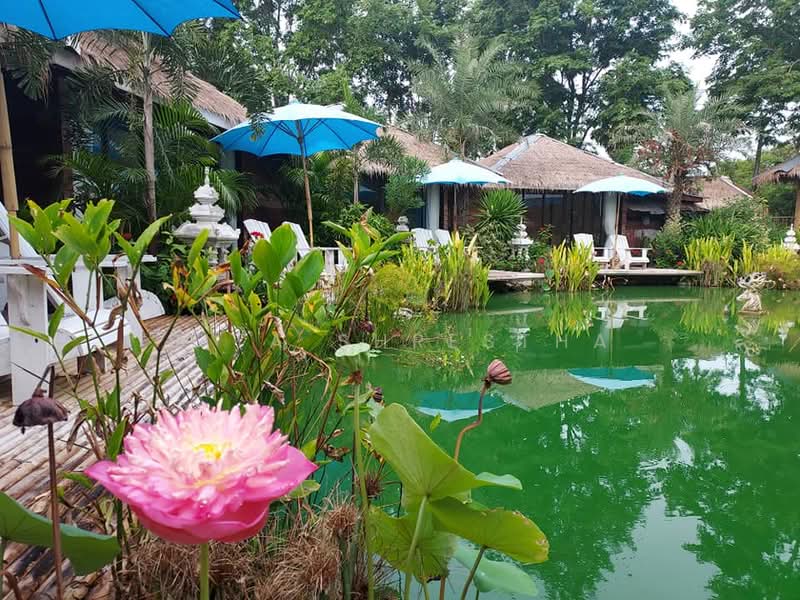 undefined, Chon Buri (Pattaya)