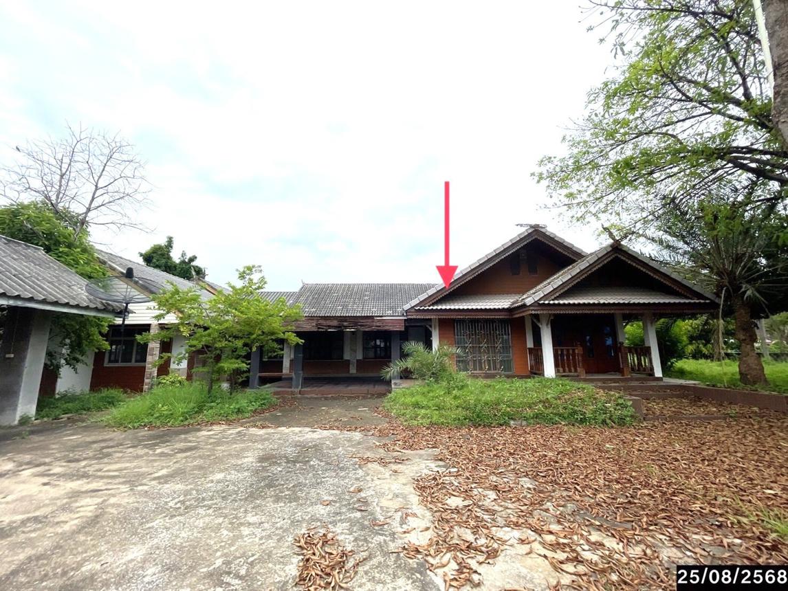 Single House in Yang Talat, Kalasin