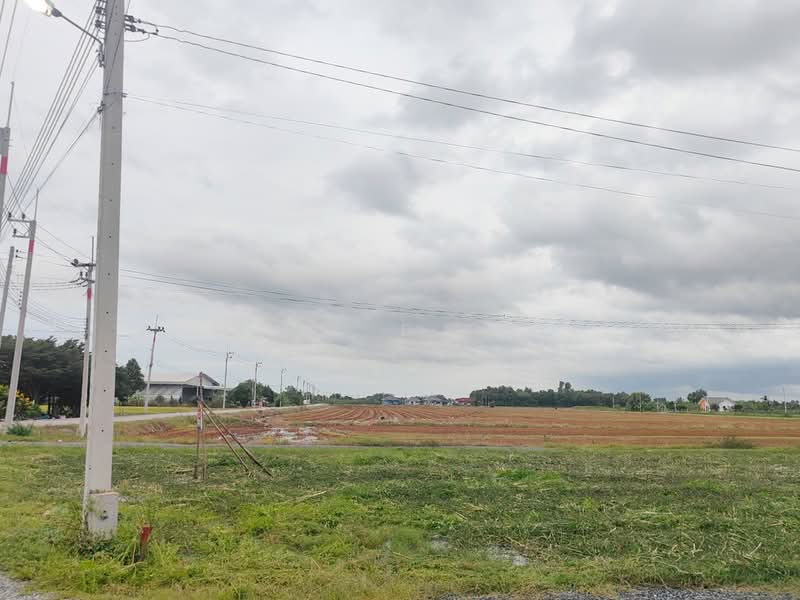 ที่ดินบางขวัญ ฉะเชิงเทรา, Chachoengsao
