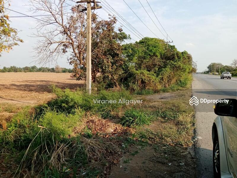 ขาย ท่ีดิน ติดถนนหลัก ต.บึ่งอ้อ อ.ขามทะเลสอ จ.นครราชสีมา, Nakhon Ratchasima