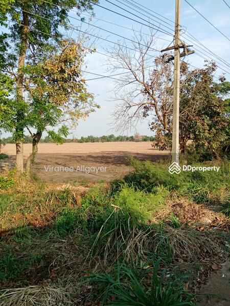 ขาย ท่ีดิน ติดถนนหลัก ต.บึ่งอ้อ อ.ขามทะเลสอ จ.นครราชสีมา, Nakhon Ratchasima
