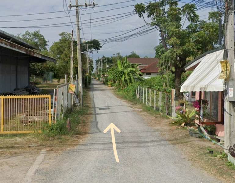 ขายที่ดิน คลอง 11 ธัญบุรี 200 ตร.ว. ผังเมืองสีชมพู ใกล้ ถนนรังสิต-นครนายก, Pathum Thani