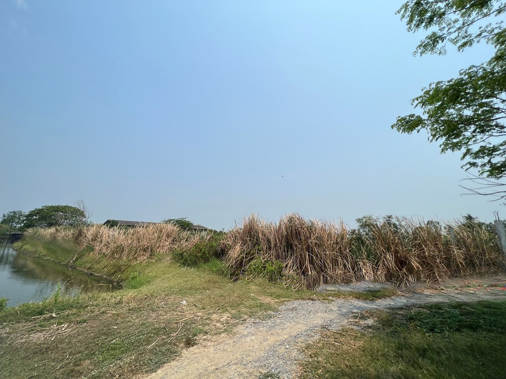 ที่ดินเปล่า นครชัยศรี นครปฐม