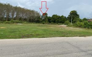 A plot of land in Narathiwat, empty.
