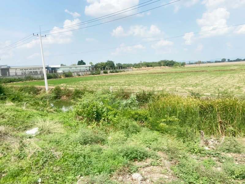 ที่ดินท่าตะโก นครสวรรค์, Nakhon Sawan
