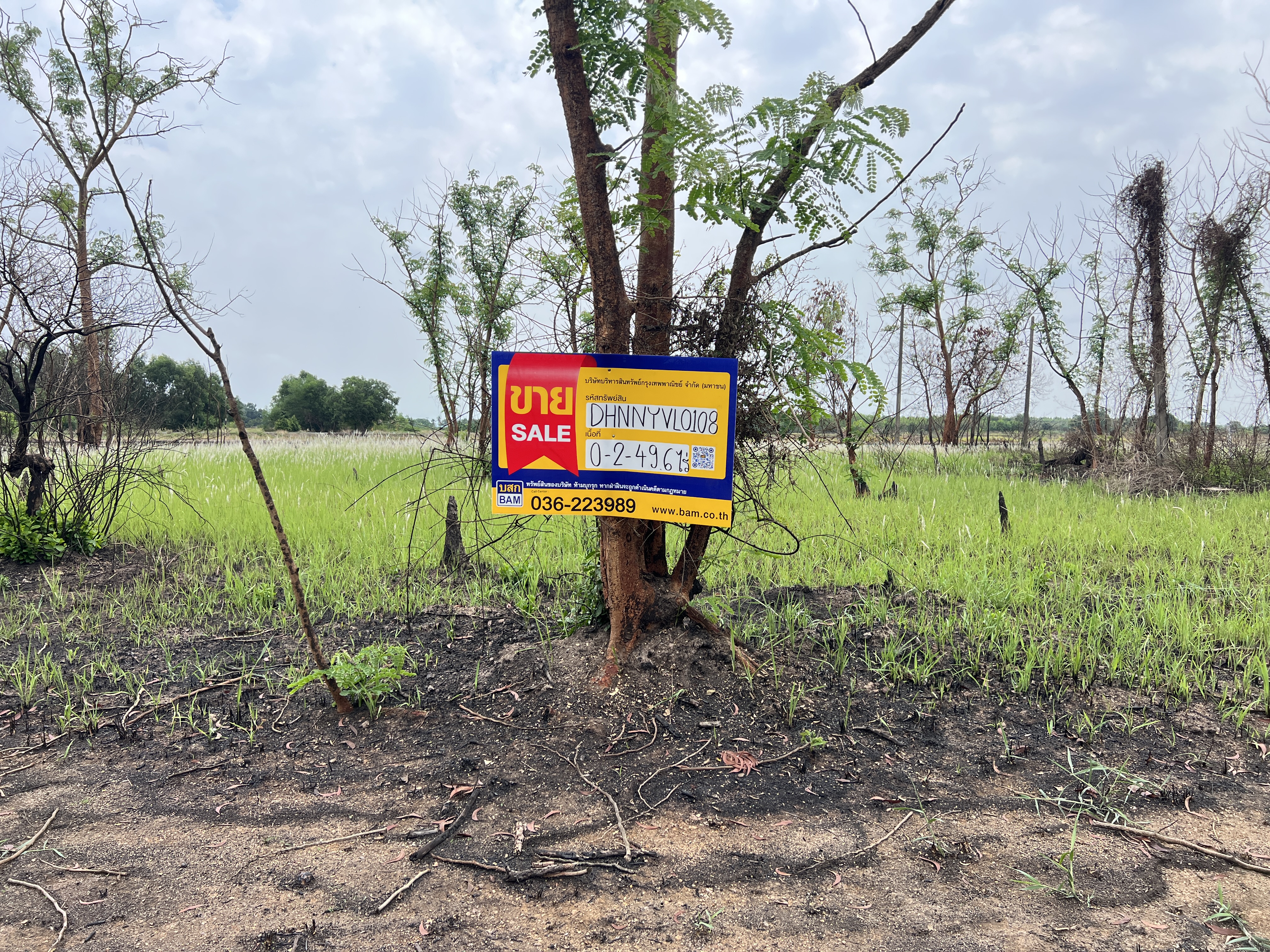 Empty Land, Nakhon Nayok
