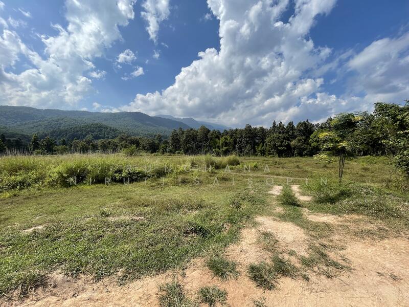 21 Rai land Mae Ram Mae Rim Chiang Mai, Chiang Mai