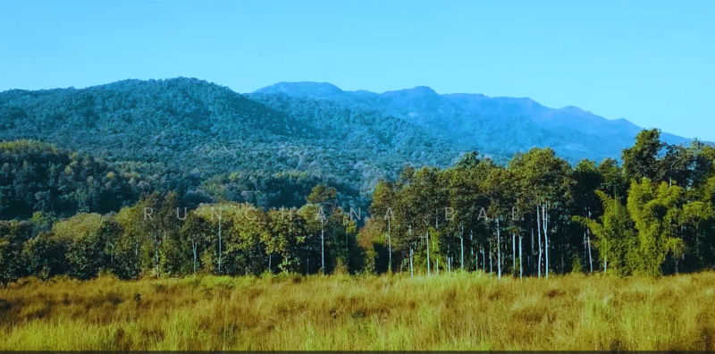 21 Rai land Mae Ram Mae Rim Chiang Mai, Chiang Mai