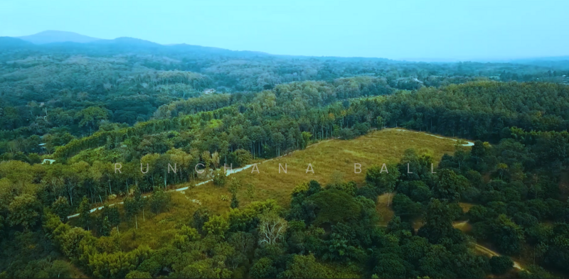 21 Rai land Mae Ram Mae Rim Chiang Mai, Chiang Mai