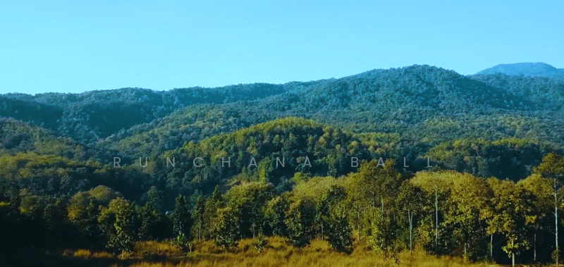 21 Rai land Mae Ram Mae Rim Chiang Mai, Chiang Mai