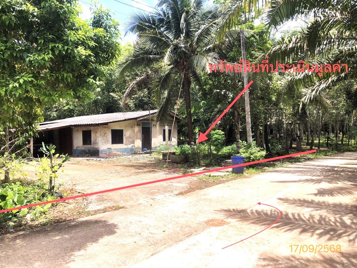 Single-Family House in Chai Buri, Surat Thani