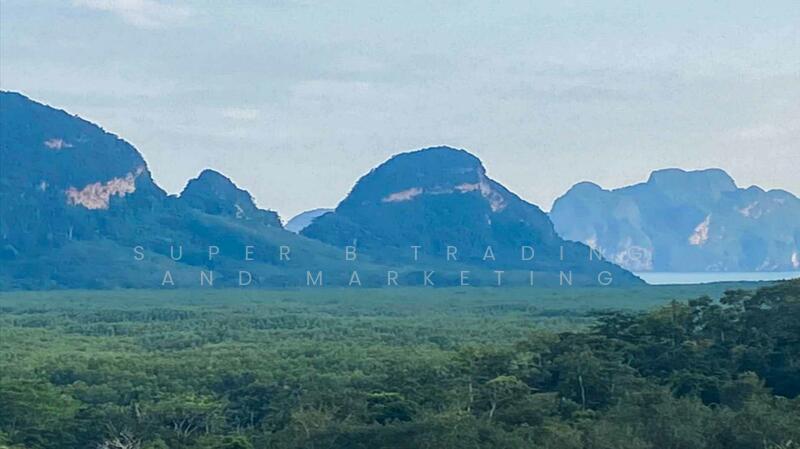 Large land for sale, 24 rai, 2 ngan, 58 sq m, Khlong Khian, Takua Thung, Phang Nga Province, Phangnga