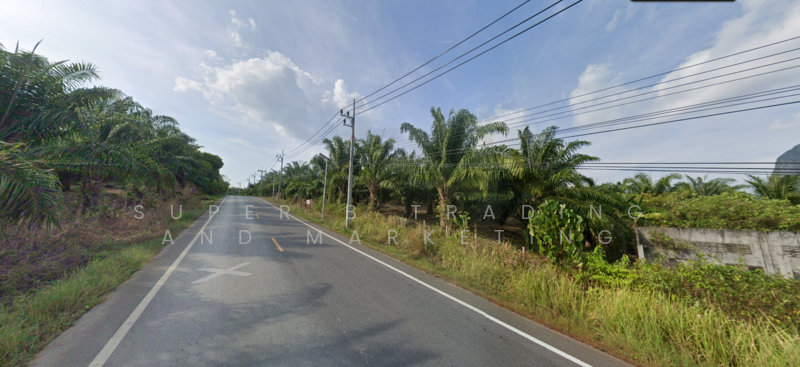 Large land for sale, 24 rai, 2 ngan, 58 sq m, Khlong Khian, Takua Thung, Phang Nga Province, Phangnga