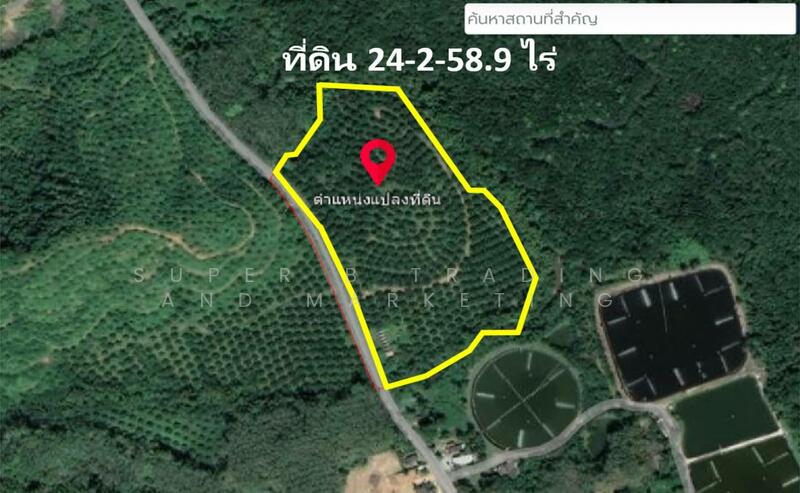 Large land for sale, 24 rai, 2 ngan, 58 sq m, Khlong Khian, Takua Thung, Phang Nga Province, Phangnga
