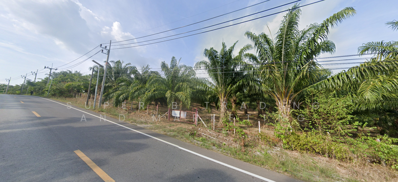 Large land for sale, 24 rai, 2 ngan, 58 sq m, Khlong Khian, Takua Thung, Phang Nga Province, Phangnga