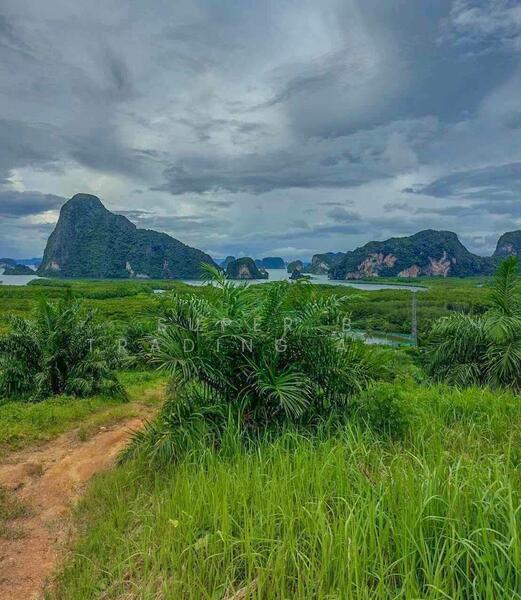 Large land for sale, 24 rai, 2 ngan, 58 sq m, Khlong Khian, Takua Thung, Phang Nga Province, Phangnga