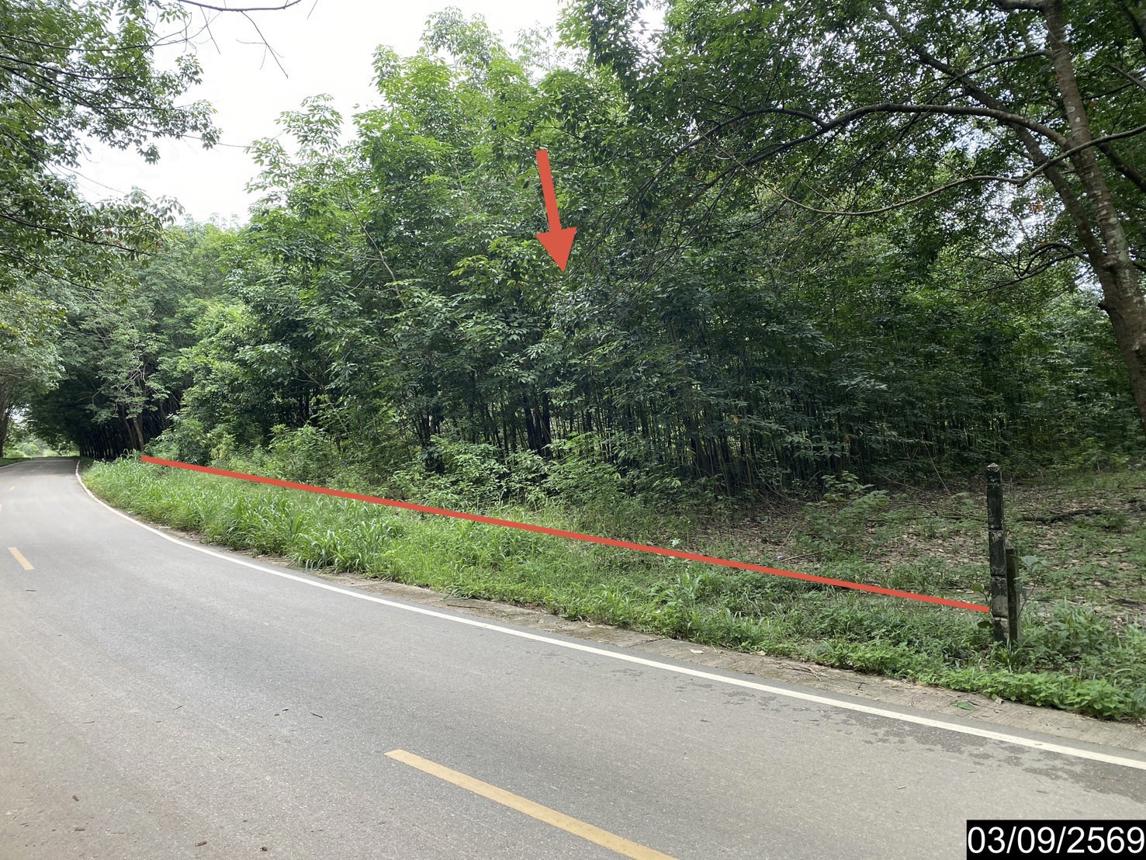 ที่ดินว่างเปล่า เมืองบึงกาฬ บึงกาฬ