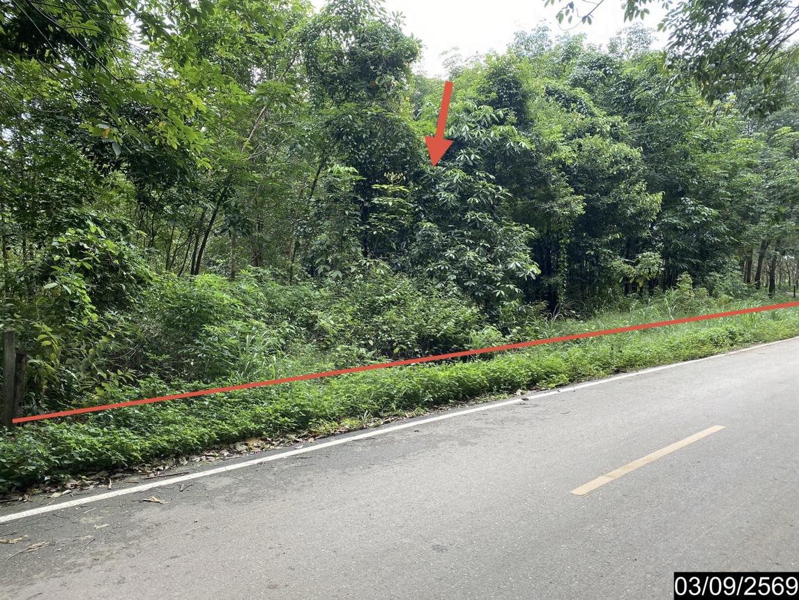 ที่ดินว่างเปล่า เมืองบึงกาฬ บึงกาฬ